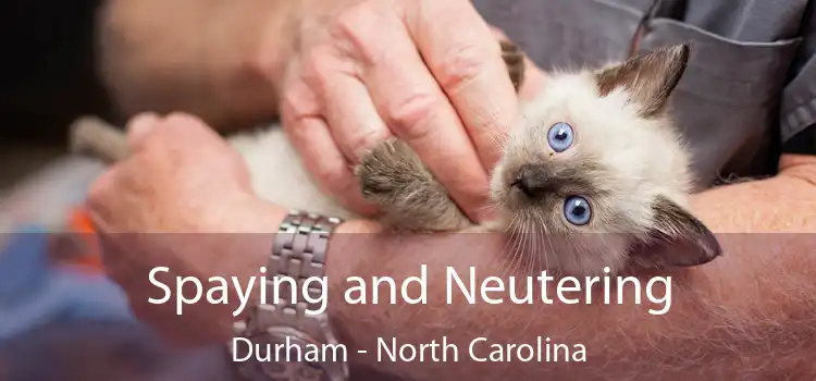 Spaying and Neutering Durham - North Carolina