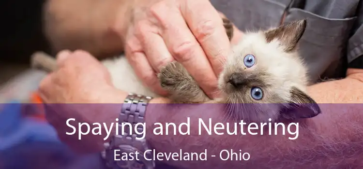 Spaying and Neutering East Cleveland - Ohio