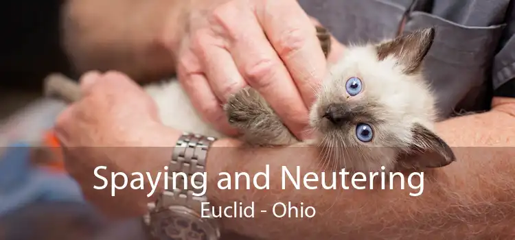 Spaying and Neutering Euclid - Ohio