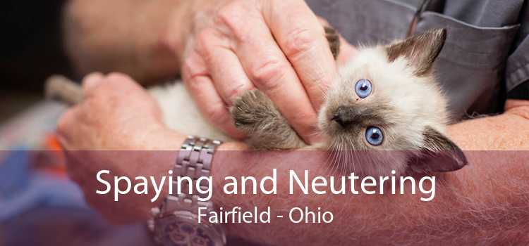 Spaying and Neutering Fairfield - Ohio