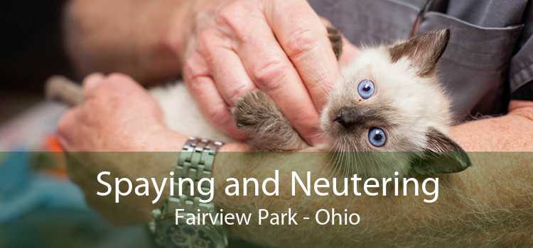 Spaying and Neutering Fairview Park - Ohio