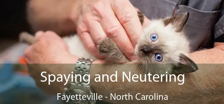 Spaying and Neutering Fayetteville - North Carolina