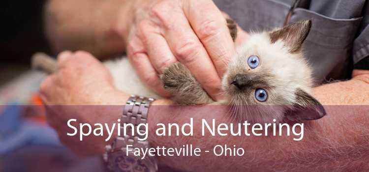 Spaying and Neutering Fayetteville - Ohio