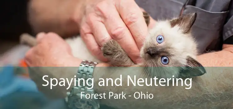 Spaying and Neutering Forest Park - Ohio