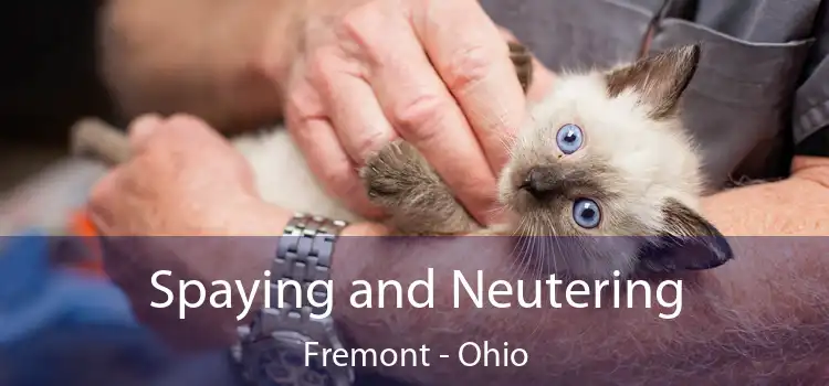 Spaying and Neutering Fremont - Ohio