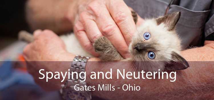 Spaying and Neutering Gates Mills - Ohio