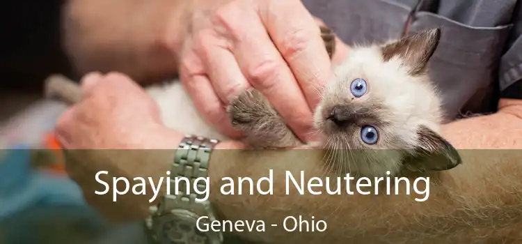 Spaying and Neutering Geneva - Ohio