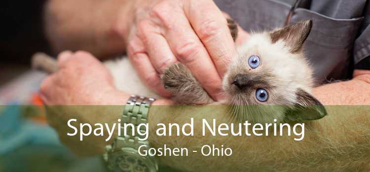 Spaying and Neutering Goshen - Ohio
