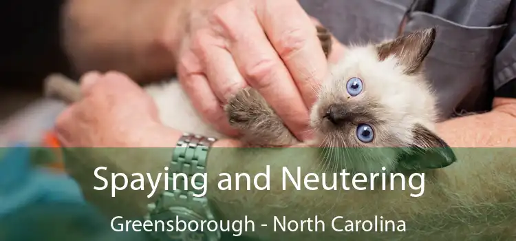 Spaying and Neutering Greensborough - North Carolina