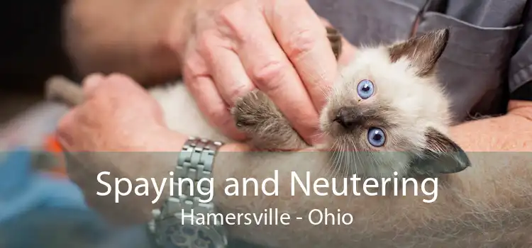 Spaying and Neutering Hamersville - Ohio