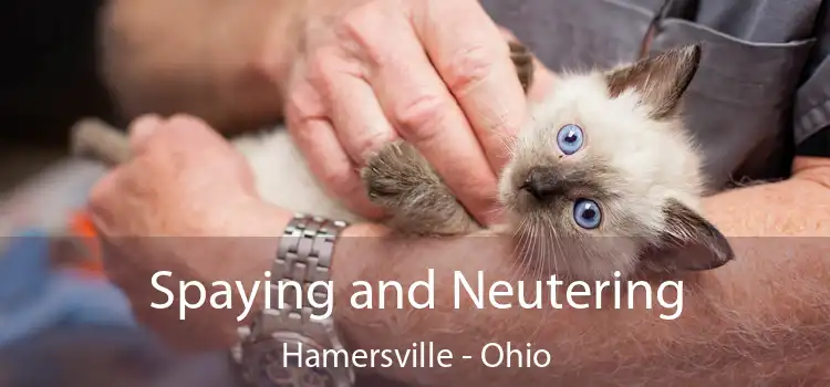 Spaying and Neutering Hamersville - Ohio