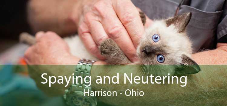 Spaying and Neutering Harrison - Ohio
