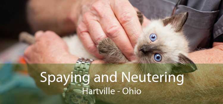 Spaying and Neutering Hartville - Ohio
