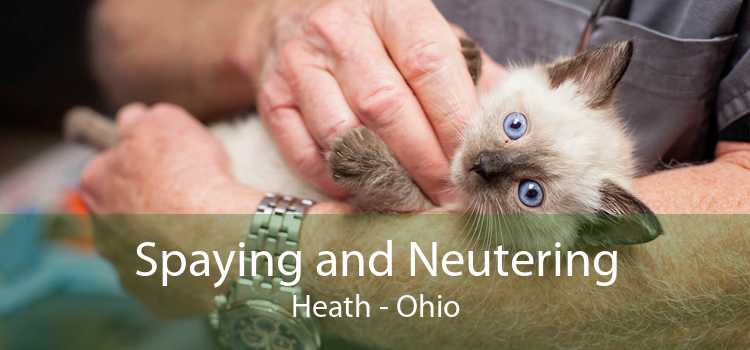 Spaying and Neutering Heath - Ohio
