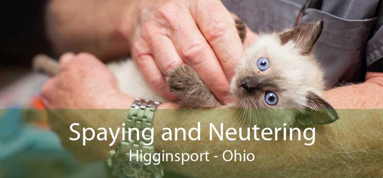 Spaying and Neutering Higginsport - Ohio