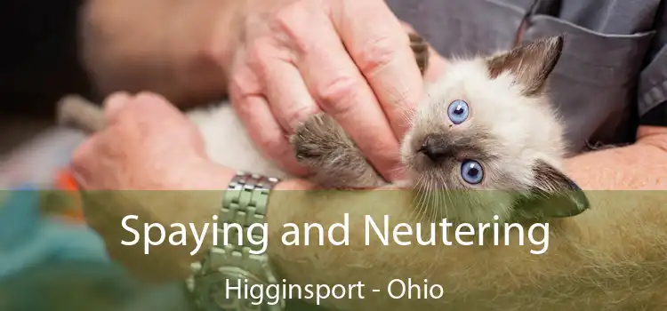 Spaying and Neutering Higginsport - Ohio