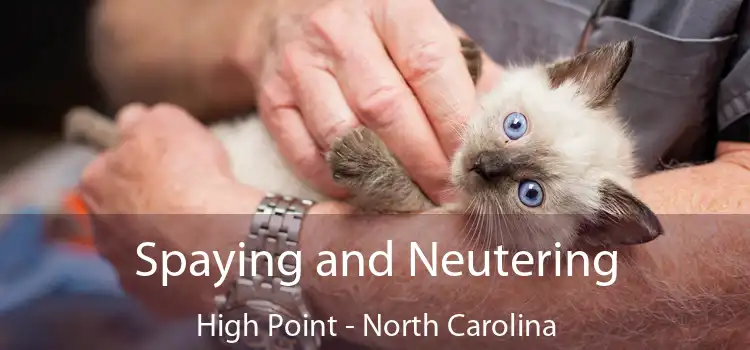 Spaying and Neutering High Point - North Carolina