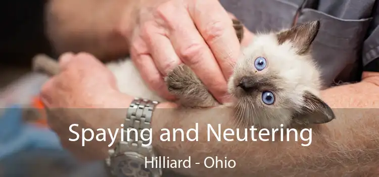 Spaying and Neutering Hilliard - Ohio