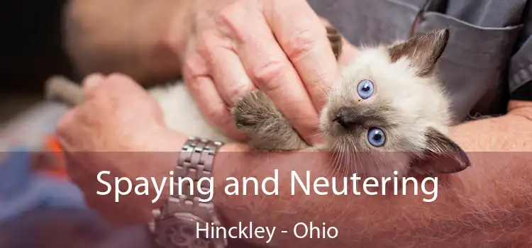 Spaying and Neutering Hinckley - Ohio