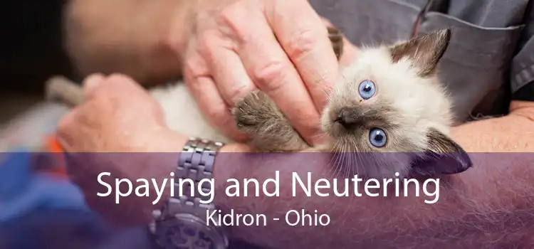 Spaying and Neutering Kidron - Ohio