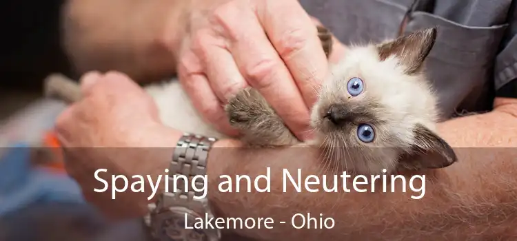 Spaying and Neutering Lakemore - Ohio