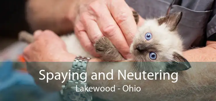 Spaying and Neutering Lakewood - Ohio
