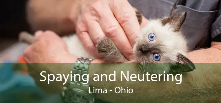 Spaying and Neutering Lima - Ohio