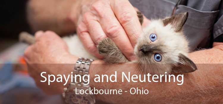 Spaying and Neutering Lockbourne - Ohio