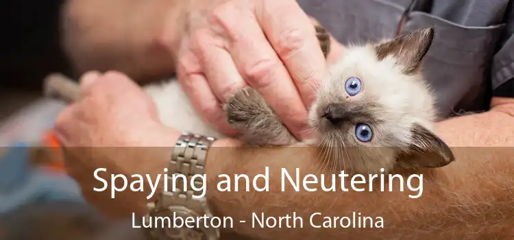 Spaying and Neutering Lumberton - North Carolina