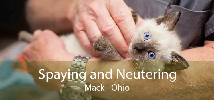 Spaying and Neutering Mack - Ohio