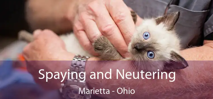 Spaying and Neutering Marietta - Ohio