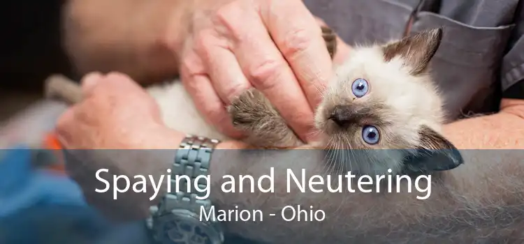 Spaying and Neutering Marion - Ohio