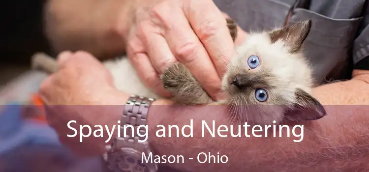 Spaying and Neutering Mason - Ohio