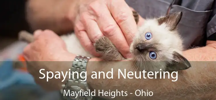 Spaying and Neutering Mayfield Heights - Ohio