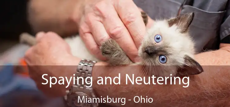 Spaying and Neutering Miamisburg - Ohio