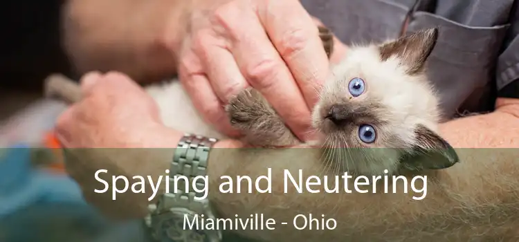Spaying and Neutering Miamiville - Ohio