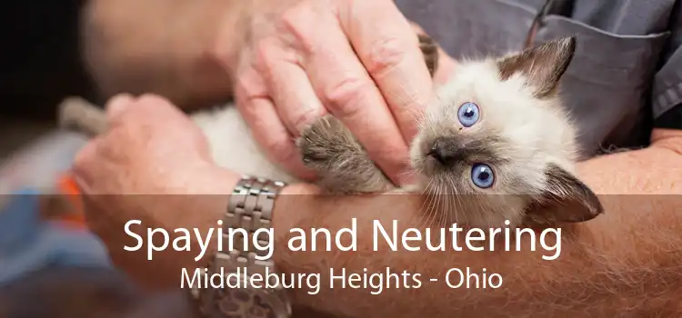 Spaying and Neutering Middleburg Heights - Ohio