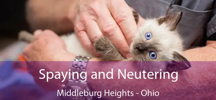 Spaying and Neutering Middleburg Heights - Ohio