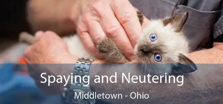 Spaying and Neutering Middletown - Ohio