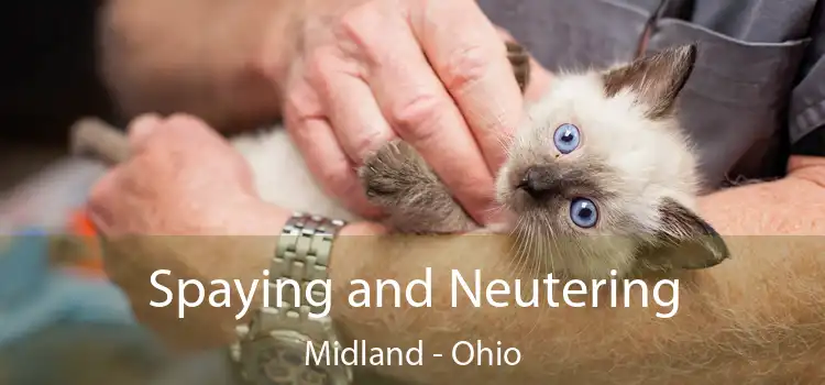 Spaying and Neutering Midland - Ohio