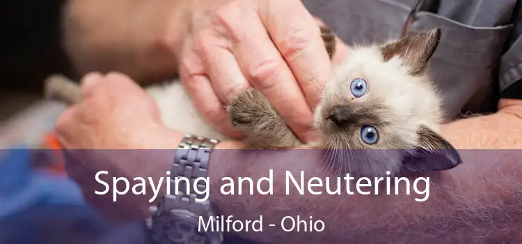 Spaying and Neutering Milford - Ohio