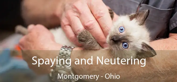 Spaying and Neutering Montgomery - Ohio