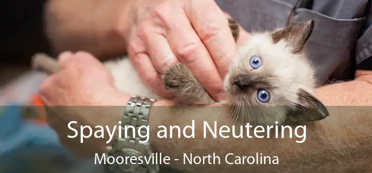 Spaying and Neutering Mooresville - North Carolina