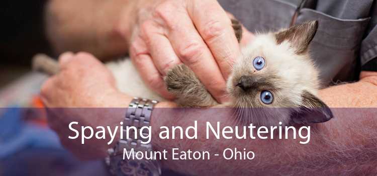 Spaying and Neutering Mount Eaton - Ohio