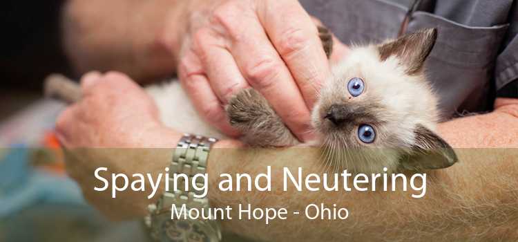 Spaying and Neutering Mount Hope - Ohio