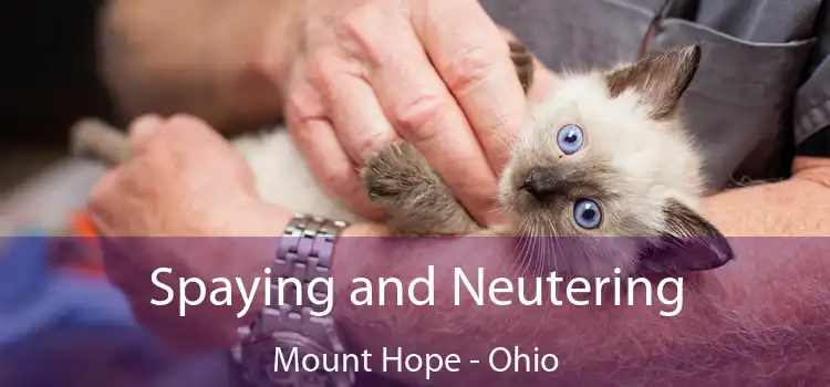Spaying and Neutering Mount Hope - Ohio