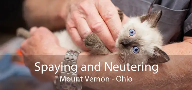 Spaying and Neutering Mount Vernon - Ohio