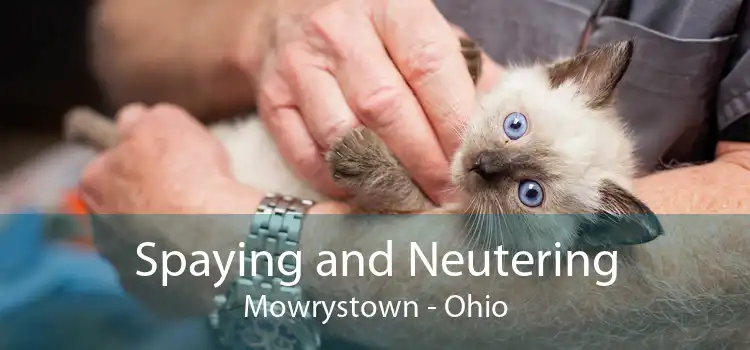 Spaying and Neutering Mowrystown - Ohio
