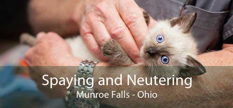 Spaying and Neutering Munroe Falls - Ohio
