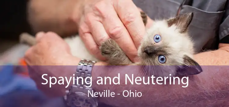 Spaying and Neutering Neville - Ohio
